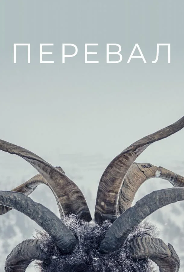 Смотреть Сериал Перевал(2018) бесплатно